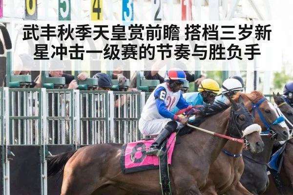 武丰秋季天皇赏前瞻 搭档三岁新星冲击一级赛的节奏与胜负手
