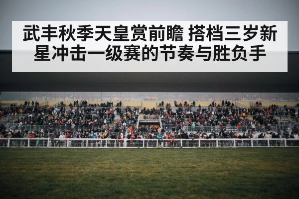 horse racing crowd grandstand