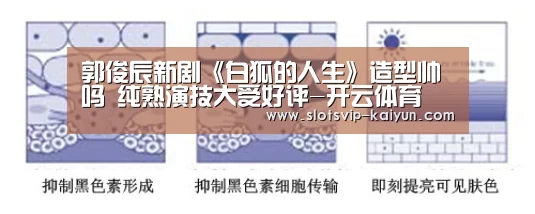 开云体育