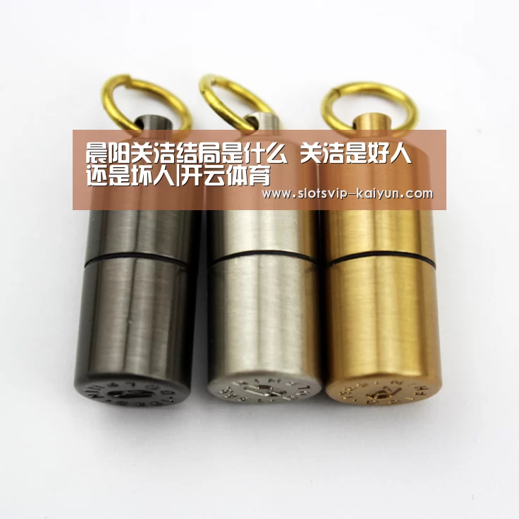 晨阳关洁结局是什么 关洁是好人还是坏人|开云体育(图3) 开云体育
