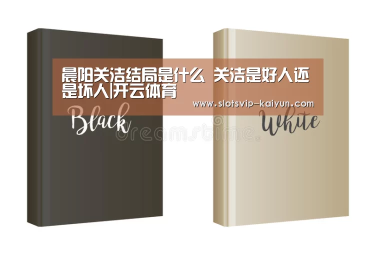 晨阳关洁结局是什么 关洁是好人还是坏人|开云体育(图2) 开云篮球