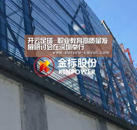 开云足球-职业教育高质量发展研讨会在深圳举行(图4) 开云篮球